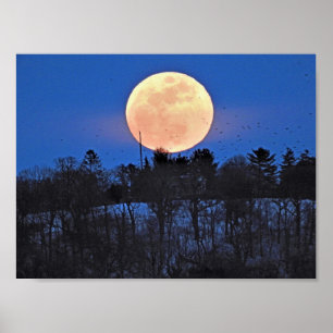 Poster Montée de la lune de neige