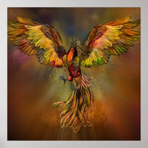 Poster Montée de Phoenix