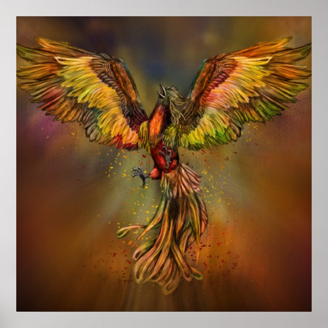 Poster Montée de Phoenix (Devant)