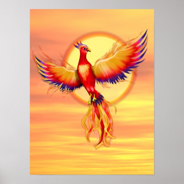 Poster Montée de Phoenix (Devant)