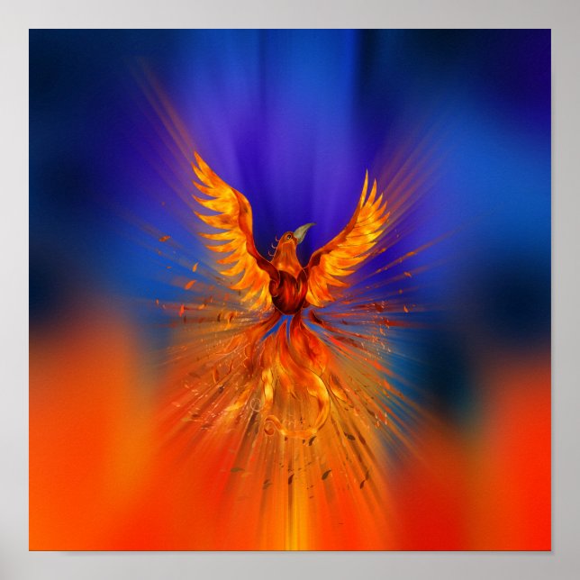 Poster Montée de Phoenix (Devant)