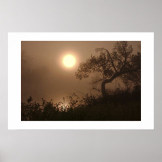 Poster Montée en flèche