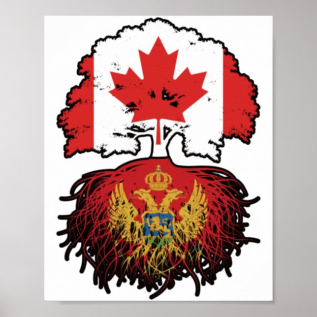 Poster Monténégro Monténégro Racines d'arbres du Canada c (Devant)