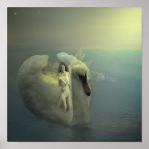 Poster Monter Un Cygne Blanc