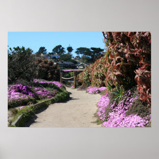 Poster Monterey Beach trail, Spring Photo