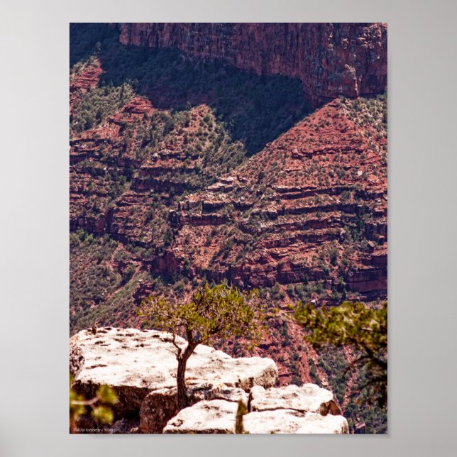 Poster Montres Rafinesques (Devant)