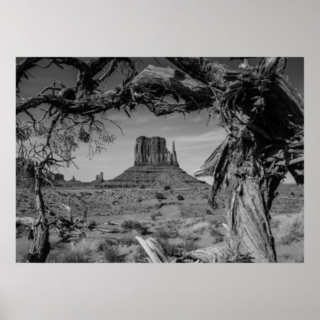 Poster Monument Valley Noir et blanc (Devant)