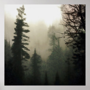 Poster Moody Foggy Treescape Paysage peinture