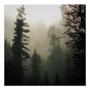 Poster Moody Foggy Treescape Paysage peinture