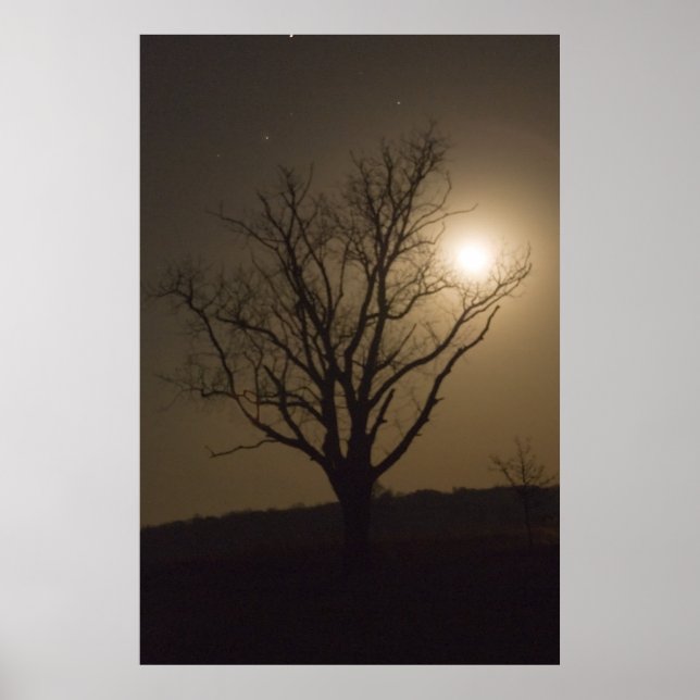 Poster Moon de novembre (Devant)