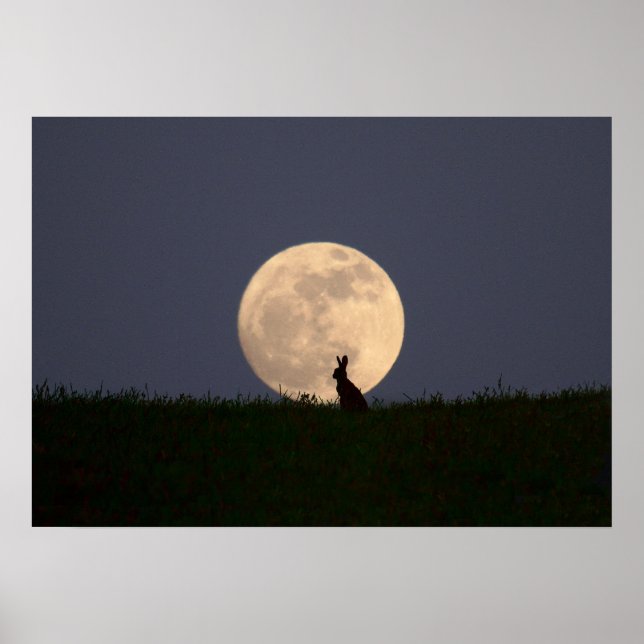 Poster Moongazer (Devant)