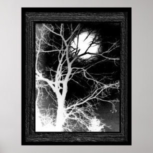 Poster Moonlight
