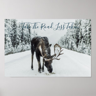 Poster Moose En Hiver Sur Route Avec Devis