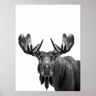 Poster Moose Modern Portrait noir blanc