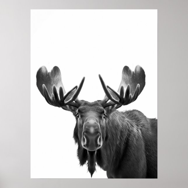 Poster Moose Modern Portrait noir blanc (Devant)