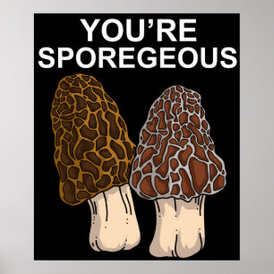 Poster Morel Mushroom