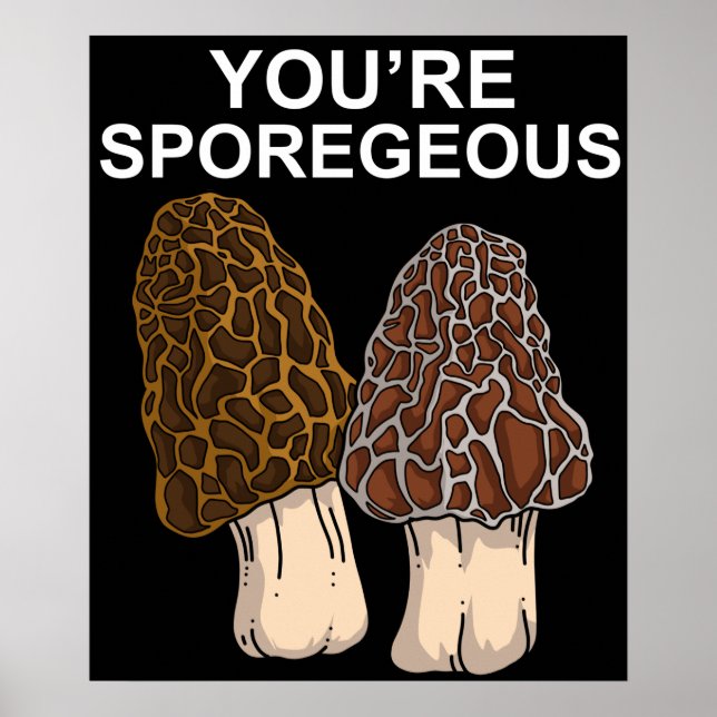 Poster Morel Mushroom (Devant)