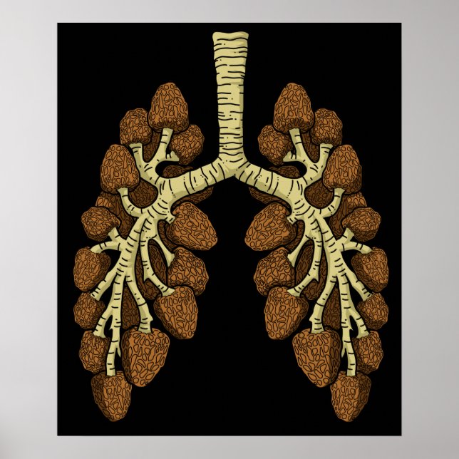 Poster Morel Mushroom (Devant)