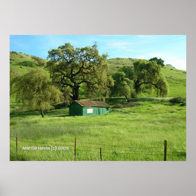 Poster Morgan Hill Meadow (Devant)