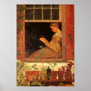 Poster Morning Glories - Print