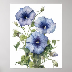 Poster Morning Glory Flowers Art Imprimer l'affiche