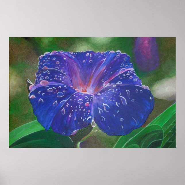 Poster Morning Glory (Ipomoea Purpurea) Petals et Dew Dr. (Devant)