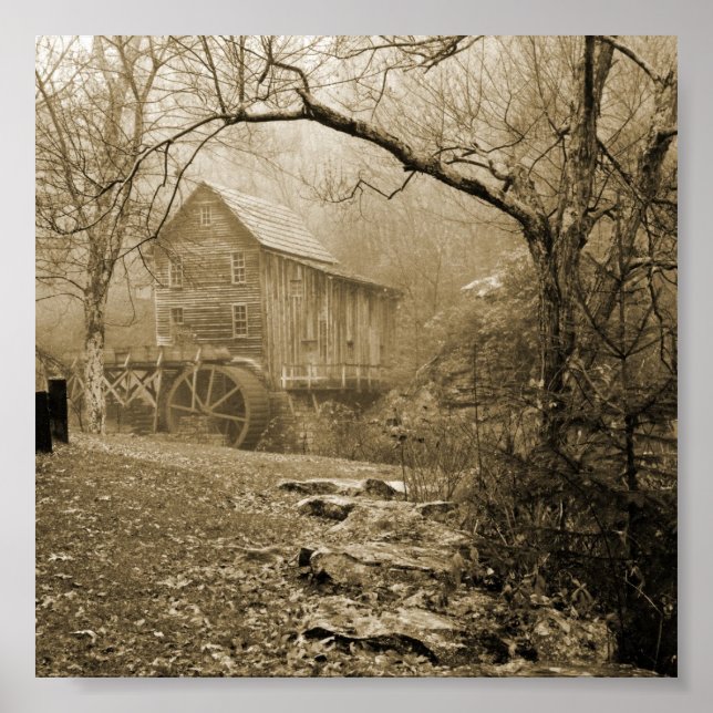 Poster Morning Mist (Devant)