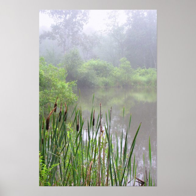 Poster Morning Mist sur l'étang (Devant)