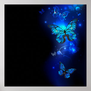 Poster Morpho Butterfly in the Dark Background