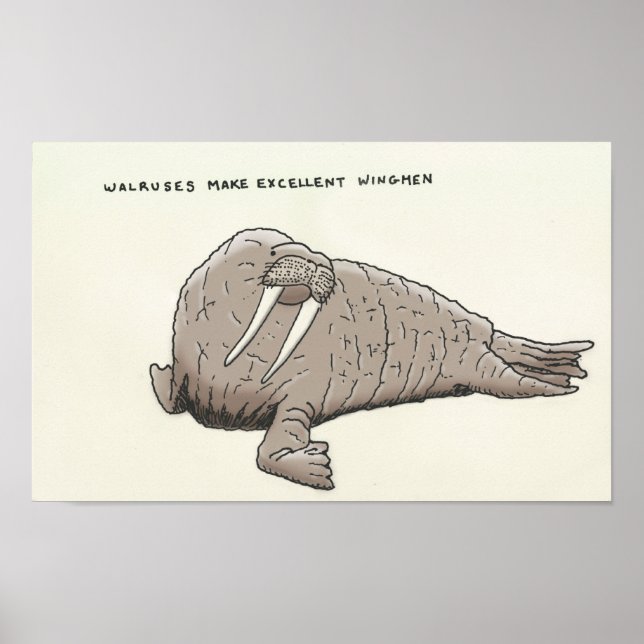 Poster morse (Devant)
