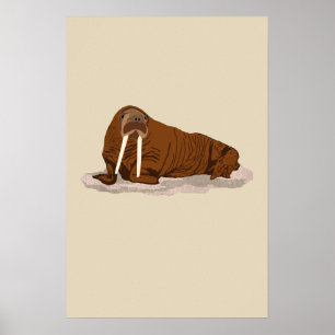 Poster Morse Pacifique