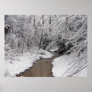 Poster Mort d'hiver