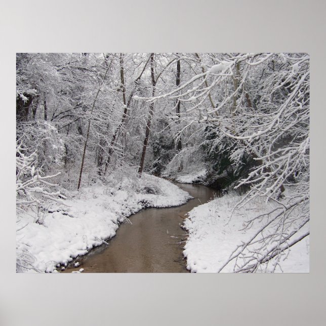 Poster Mort d'hiver (Devant)