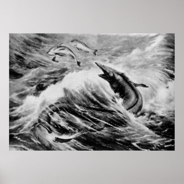 Poster Mosasaurus Antique animale préhistorique Imprimer (Devant)