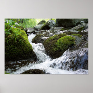 Poster Moss Falls