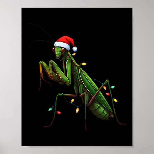 Poster Moss Mantis Noël Lumière Santa Hat Animal Insec (Devant)