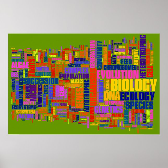 Poster Mot bibliologique n° 2 (Devant)