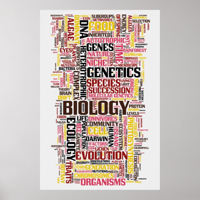 Poster Mot bibliologique No 11 (Devant)