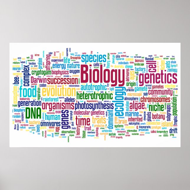 Poster Mot bibliologique No 13 (Devant)