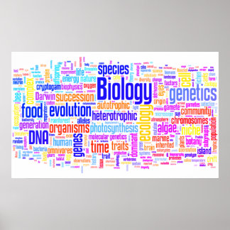 Poster Mot bibliologique No 17