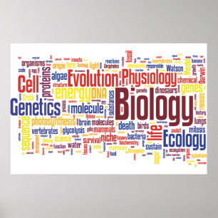 Poster Mot bibliologique no 4