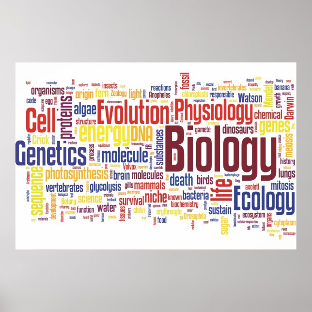 Poster Mot bibliologique no 4 (Devant)