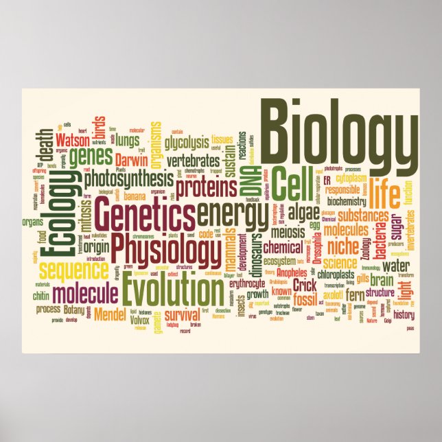 Poster Mot bibliologique no 9 (Devant)