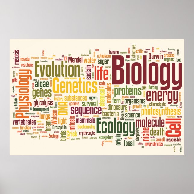 Poster Mot du dernier mot de biologie (Devant)