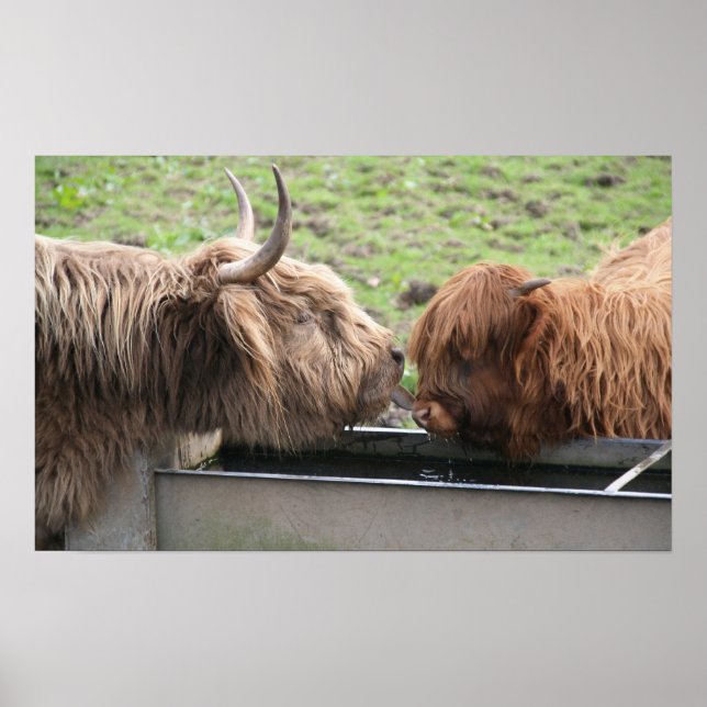 Poster Mother Love Imprimer (Devant)