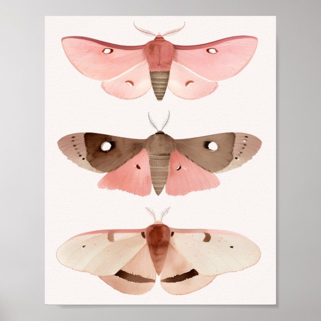 Poster Moths for Good Fortune  (Devant)