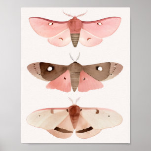Poster Moths pour bonne chance