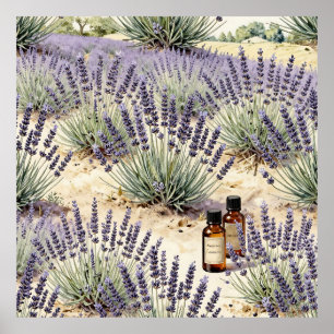 Poster Motif aquarelle d'eau florale de lavande