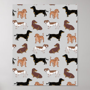 Poster Motif chien Dachshund