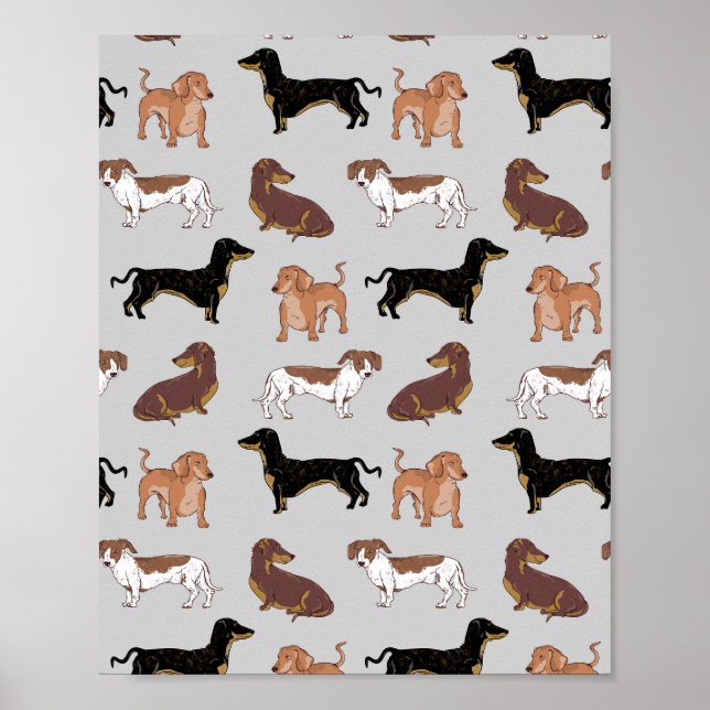Poster Motif chien Dachshund (Devant)